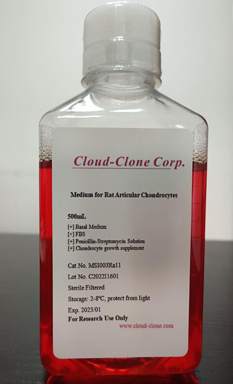 Medium for Rat Articular Chondrocytes (AC)