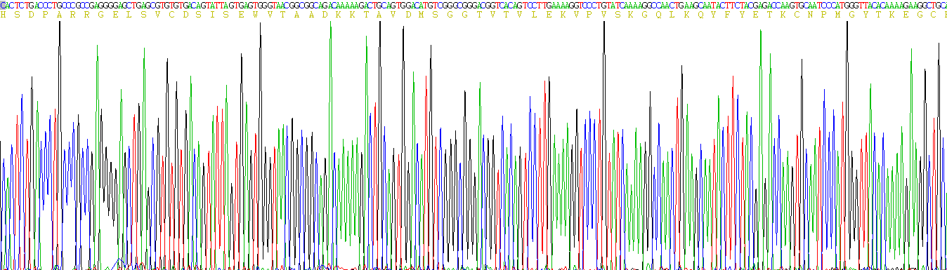 Active Brain Derived Neurotrophic Factor (BDNF)