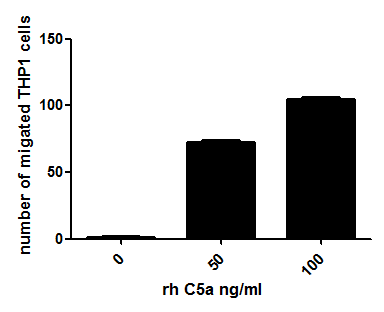 Active Complement Component 5a C5a Apa388hu61 Homo Sapiens Human Cloud Clone Corp Ccc