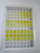 ELISA Kit for Androstenedione (ASD)