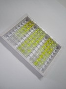 ELISA Kit for Thromboxane B2 (TXB2)