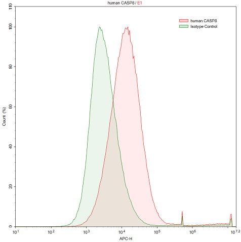 Polyclonal Antibody to Caspase 8 (CASP8)