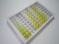 Elisa Kit For Steroid 5 Alpha Reductase 2 Srd5a2 Elisa Kit For Steroid 5 Alpha Reductase 2 Srd5a2