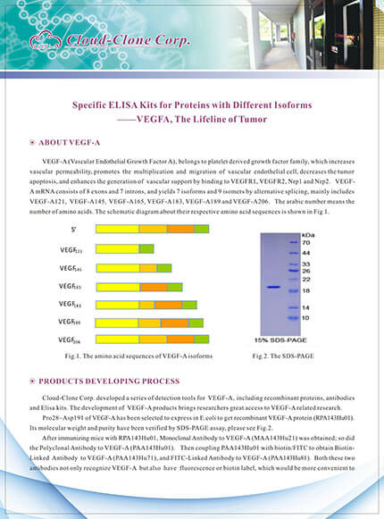 Specific ELISA Kits for Proteins with Different Isoforms