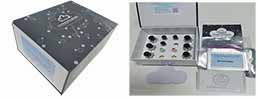 Magnetic Luminex Assay Kit for Brain Derived Neurotrophic Factor (BDNF) ,etc.
