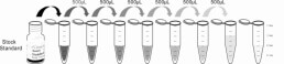 ELISA Kit for Bone Morphogenetic Protein Receptor 2 (BMPR2)